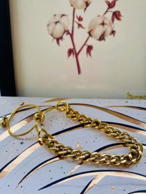 IMG_4837 Bracelet chaîne